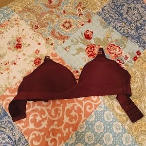 Lively Bra 34C